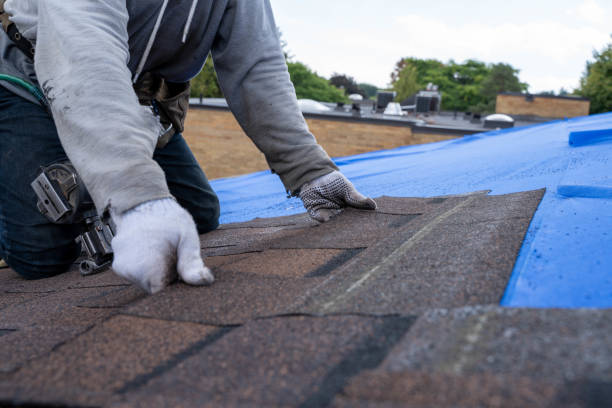 Best Roof Restoration Services  in Haslett, MI